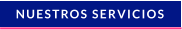 NUESTROS SERVICIOS
